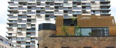 La sfida dell'uguaglianza rimossa da Cottarelli