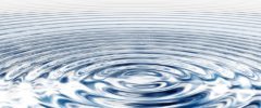 Referendum sull'acqua, otto anni fa