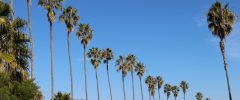 Applying the hard lessons of coronavirus to the biodiversity crisis