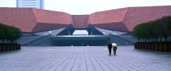 Lezioni dalla Cina