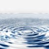 Wave Concentric Waves Circles Circle Water Rings