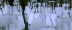 La crisi sanitaria vista da lontano