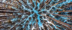 C’è modo e modo di “fare i conti” con la natura