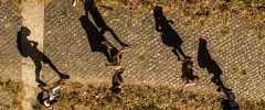 Il Covid-19 tra cura e potere