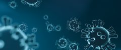 Il coronavirus e le scelte di fondo per il Paese