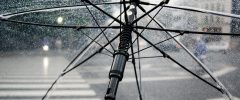 Gli effetti economici del Covid e delle misure di contrasto