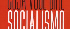 Il socialismo secondo Nancy Fraser