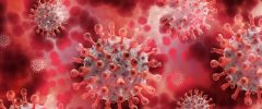 Coronavirus: the swiss cheese strategy