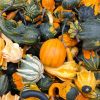 pumpkins-gbeed1459e_640