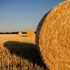 straw-bales-726977_1280