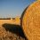 straw-bales-726977_1280