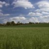 immagine agricoltura