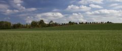 Braccia rubate all’agricoltura