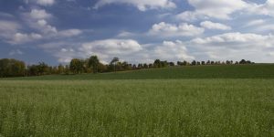 Braccia rubate all’agricoltura