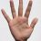 palm-1701989_1280