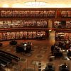 Giovani italiani pro Pal: tra ricerca e censura books-1281581_1280