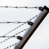 Cpr, la Corte costituzionale apre un varco fence-5255968_1280