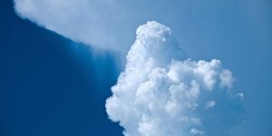 Le clausole ambientali e sociali Ue da difendere