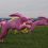 rabbits-1077330_1280