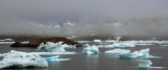Mr President, on climate you are wrong!" Physicist Buizza challenges Trump