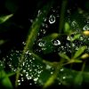 water-drop-2439604_1280