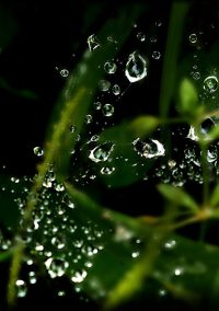 Crisi idrica e capitalismo 